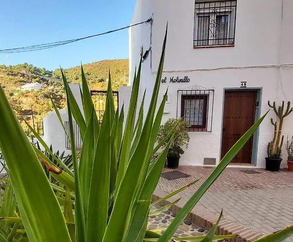 El Molinillo Ojén