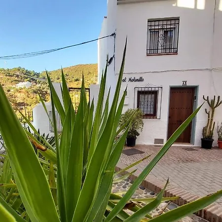 El Molinillo Ojen